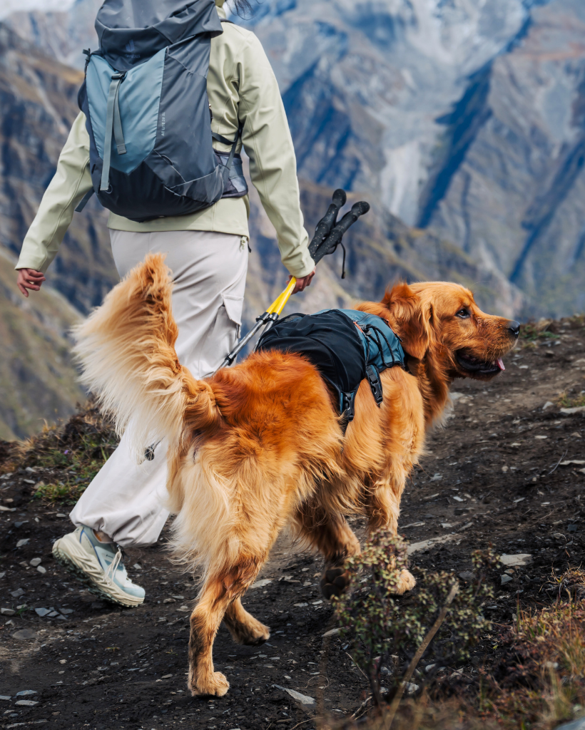 FreeMove Pack