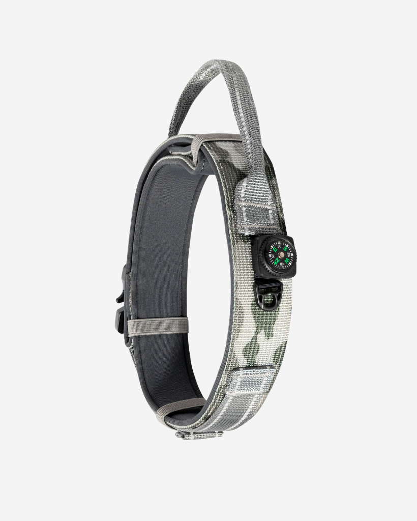 Tactical Dog Collar
