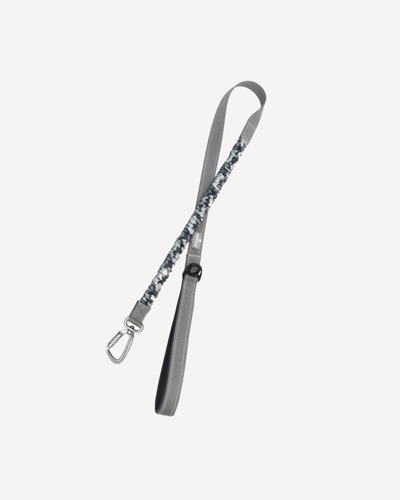 Bungee Dog Leash