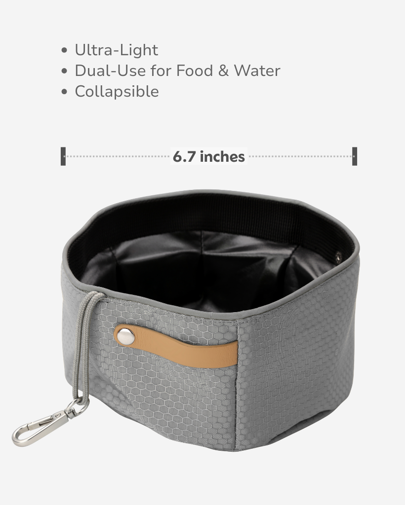Collapsible Dog Bowl