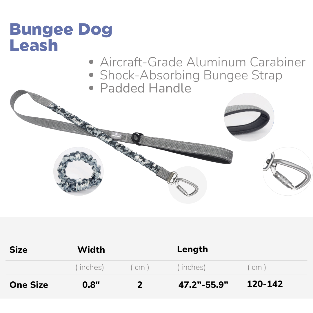 Bungee Dog Leash