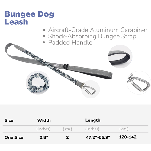 Bungee Dog Leash